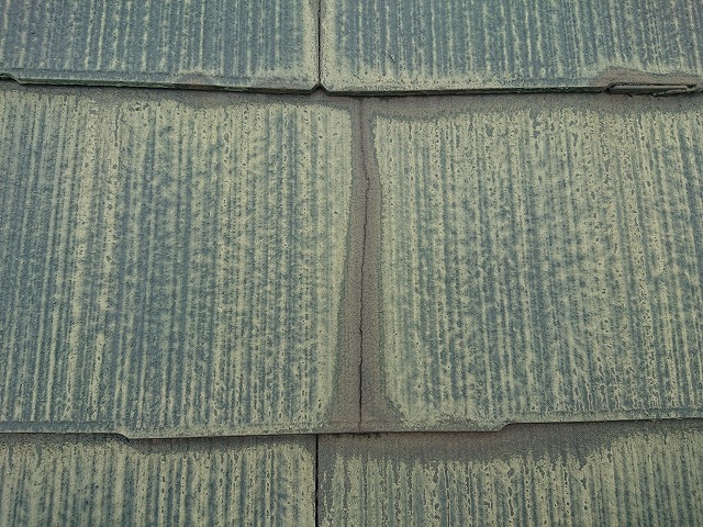 カラーベストの破損に注意